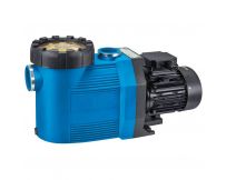 Насос Speck BADU Prime 20 (380 В, 20 м3/год, 1 кВт)