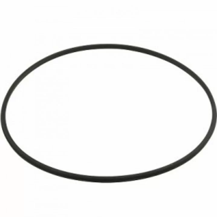 Ущільнювальне кільце для фільтра Hayward DE (DEX2422Z2)